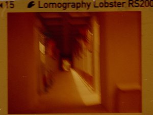 20240702LomoLobsterLomo110-16.jpg
